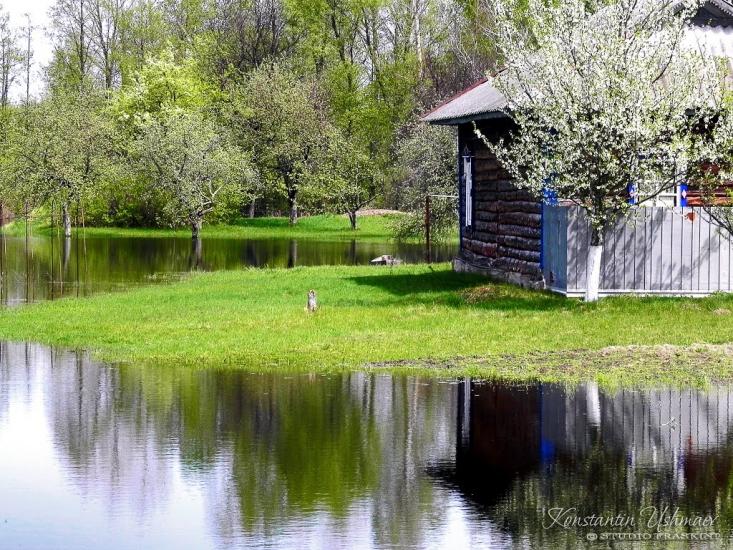 Неданчичі з panoramio.com - Nedanchychi