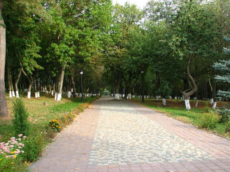 Сковородинівка з panoramio.com - Сковородинівка