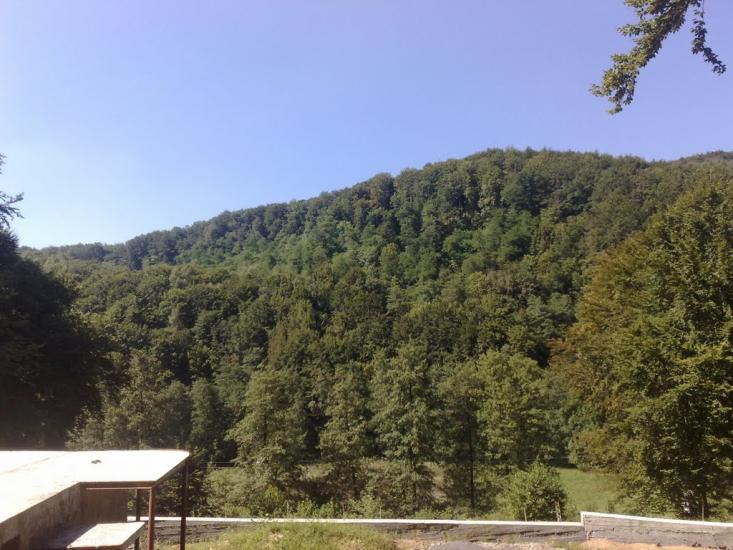 Осій з panoramio.com - Осій