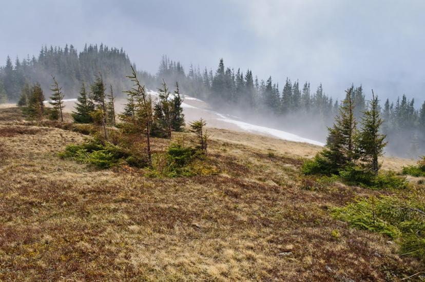 Кривопілля з panoramio.com - Кривопілля