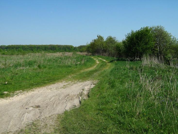 Великий Любінь з panoramio.com - Великий Любінь