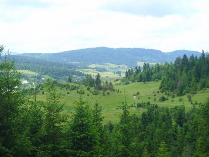 Шандровець з panoramio.com - Шандровец
