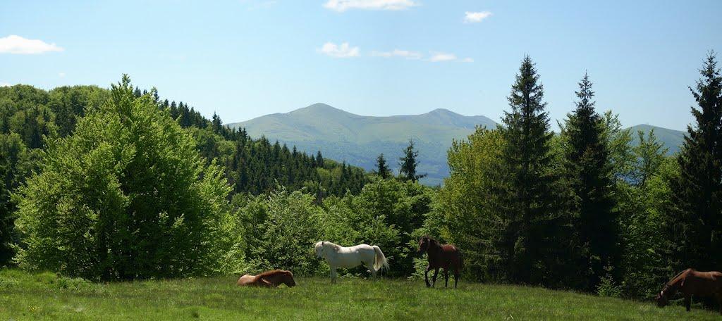 Лавочне з panoramio.com - Лавочное