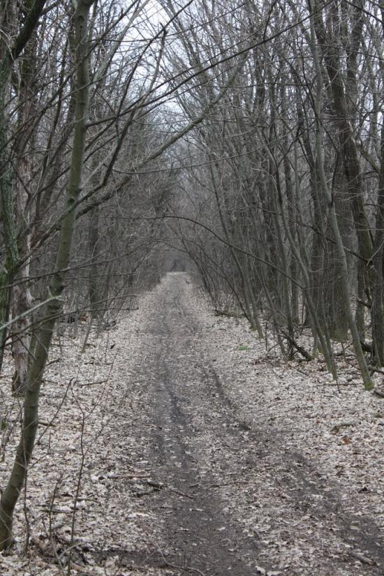 Лящівка з panoramio.com - Lyaschivka