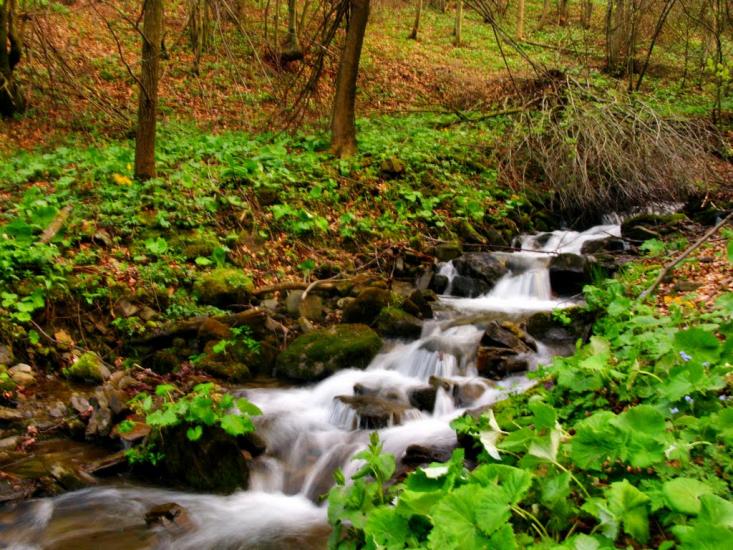 Біласовиця з panoramio.com - Bilasovytsya