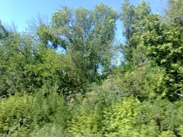 Балабине з panoramio.com - Балабино