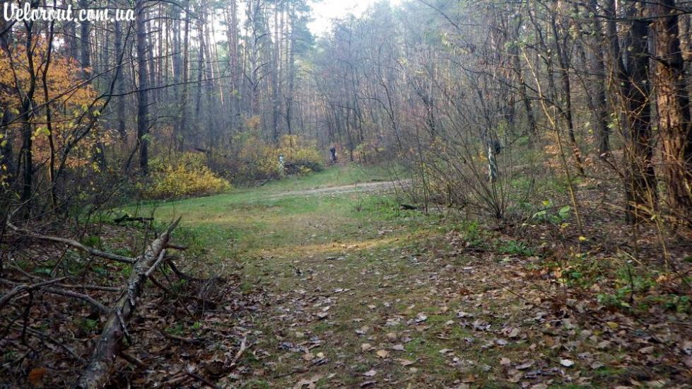 Княжичі з panoramio.com - Княжичи