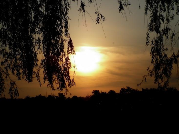 Козацьке з panoramio.com - Козацьке