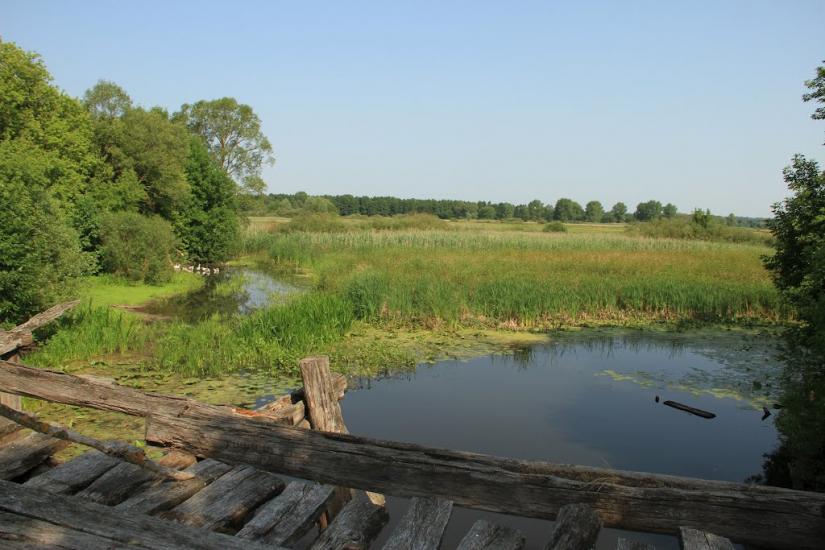 Холодне з panoramio.com - Холодне