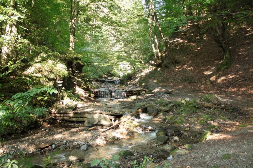 Круглий з panoramio.com - Круглий