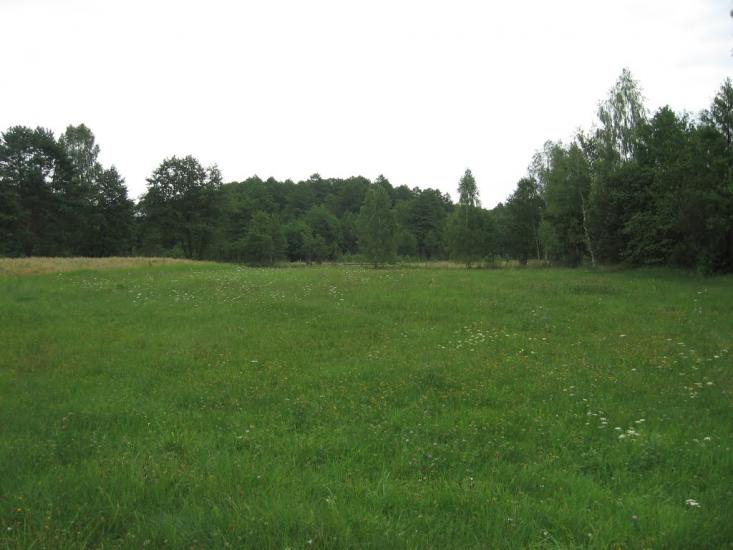 Кропивня з panoramio.com - Kropyvnya