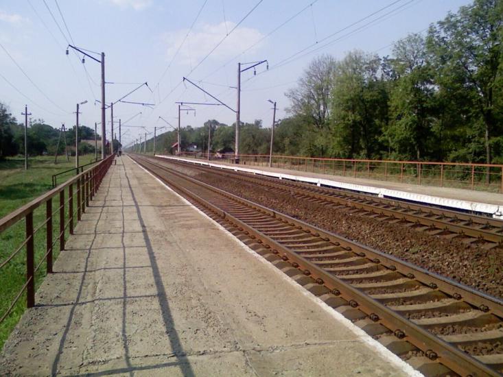 Виноградар з panoramio.com - Виноградар