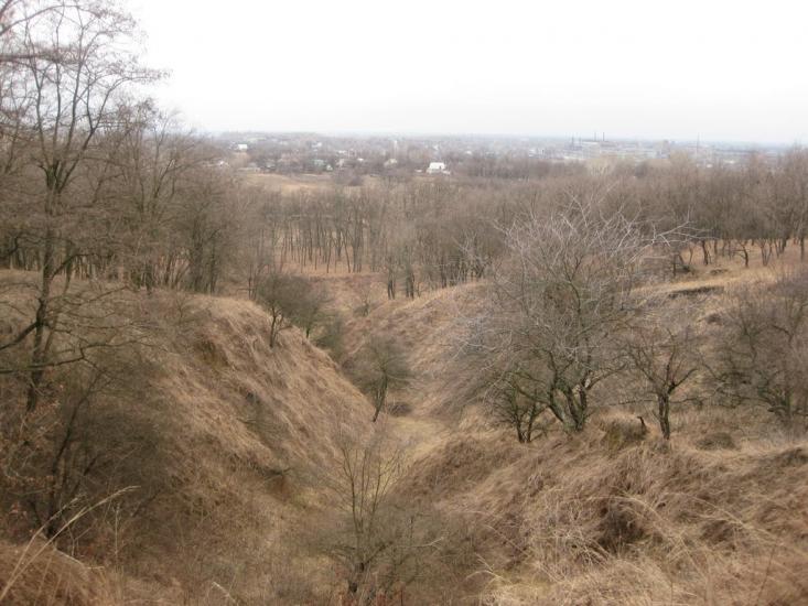 Садки з panoramio.com - Sadky