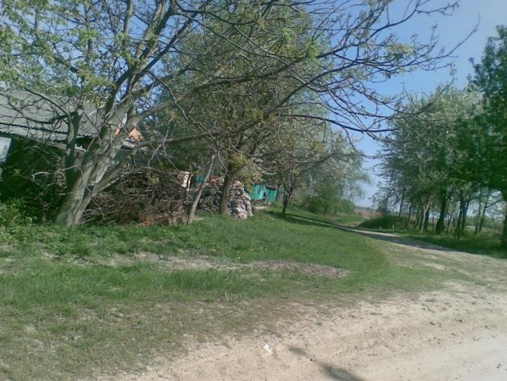 Ковалівка з panoramio.com - Ковалівка