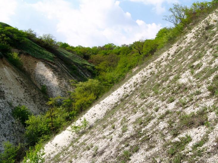 Біле з panoramio.com - Белое