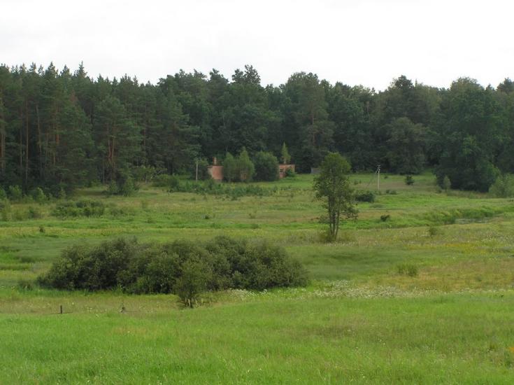 Струмок з panoramio.com - Струмок