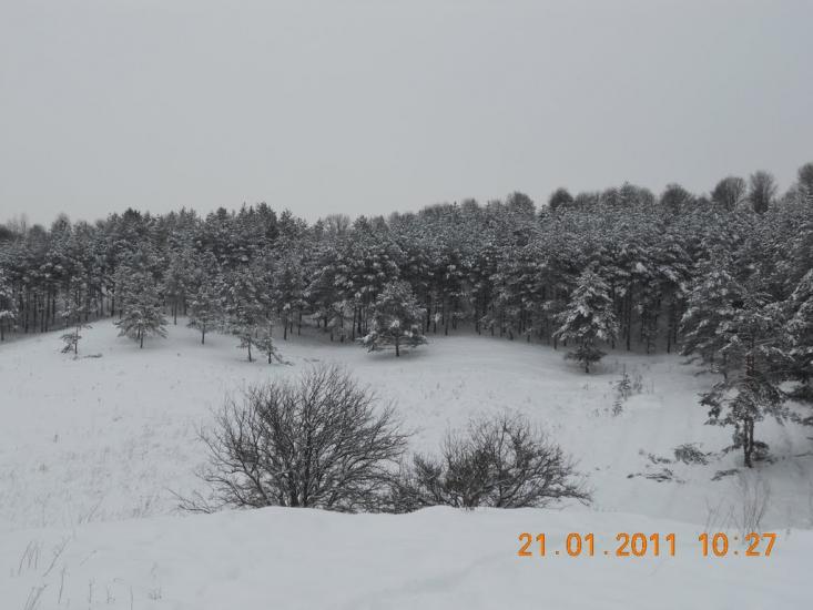 Могриця з panoramio.com - Mogrytsya