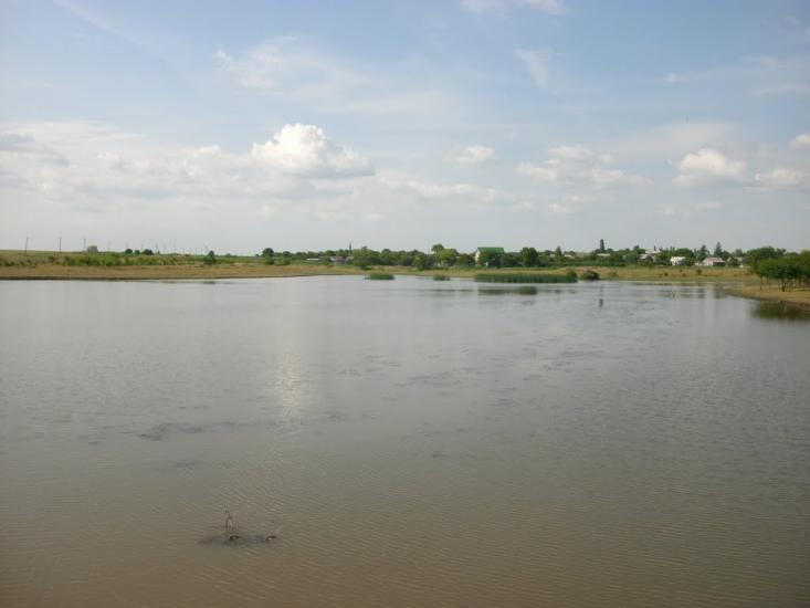 Петрівське з panoramio.com - Петрівське