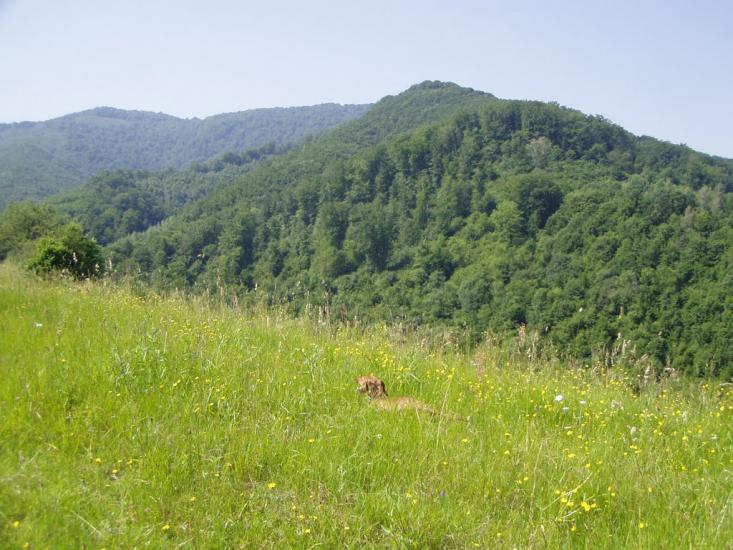 Сіль з panoramio.com - Соль