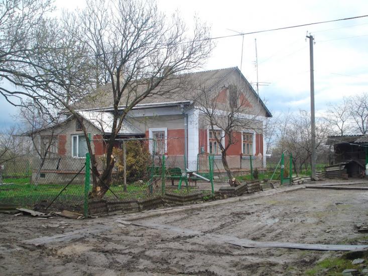 Кривичі з panoramio.com - Кривичі