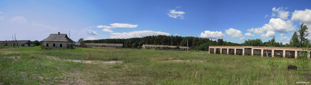 Соколівка з panoramio.com - Соколівка