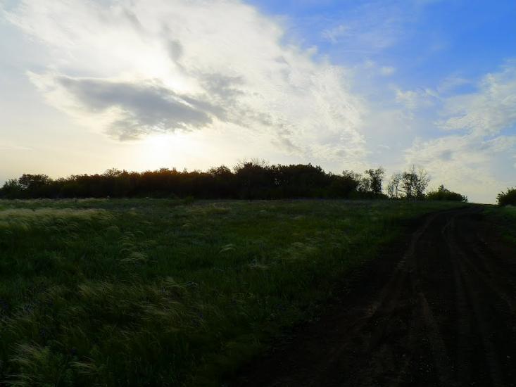 Біле з panoramio.com - Bile