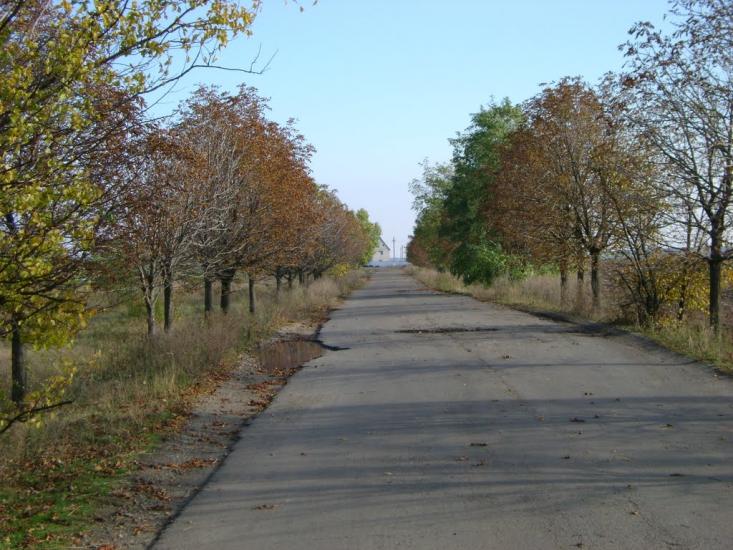 Придніпрянське з panoramio.com - Приднепрянское