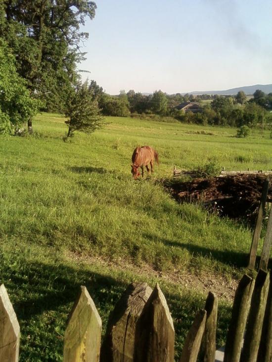 Конів з panoramio.com - Конів