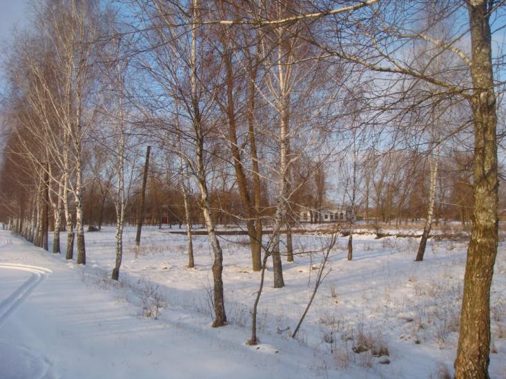 Переяслівка з panoramio.com - Переяслівка