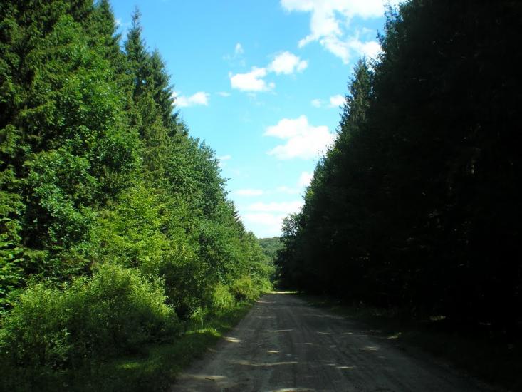 Красноїльськ з panoramio.com - Красноильск