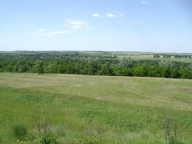 Брагинці з panoramio.com - Брагинці