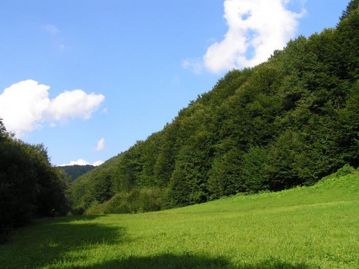 Осій з panoramio.com - Осій