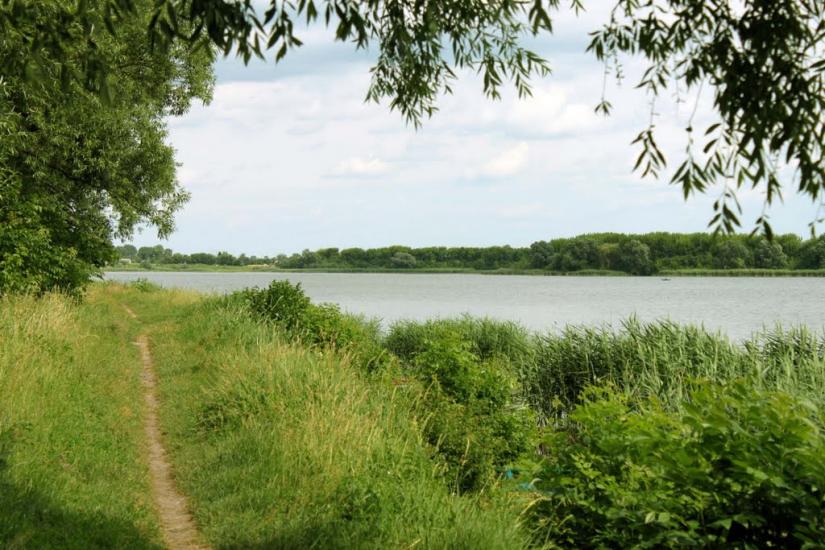 Млинів з panoramio.com - Mlyniv