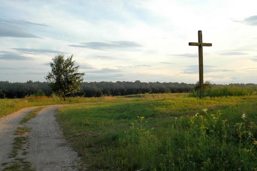 Ходорів з panoramio.com - Ходорів