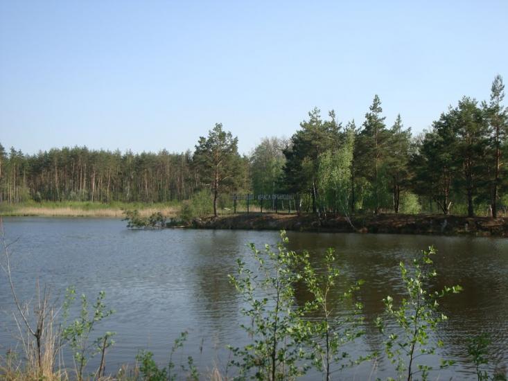 Михайленки з panoramio.com - Михайленки