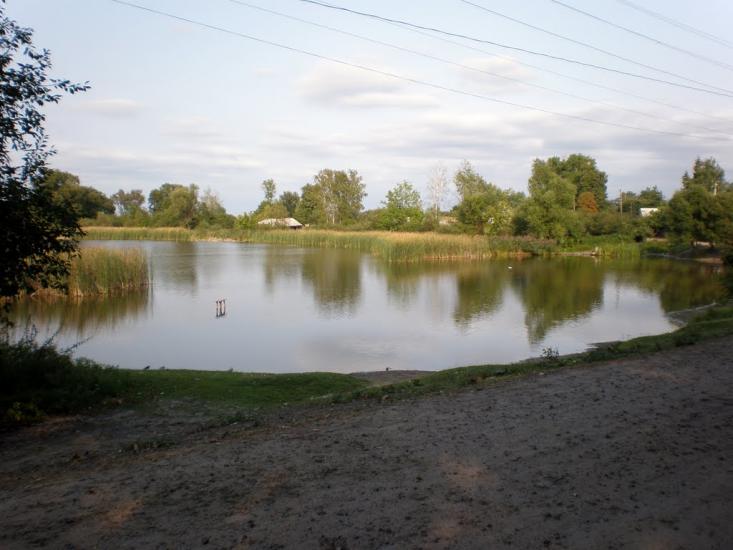 Облапи з panoramio.com - Oblapy