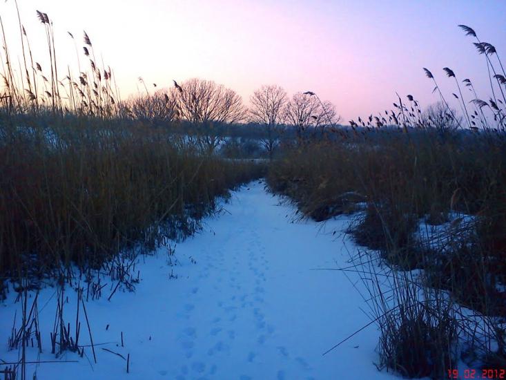 Суворове з panoramio.com - Suvorove