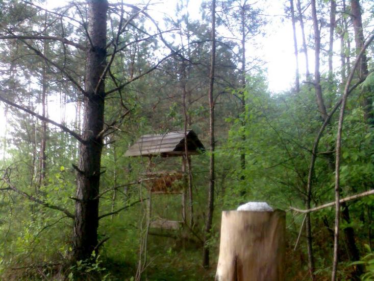 Лев'ятин з panoramio.com - Лев'ятин