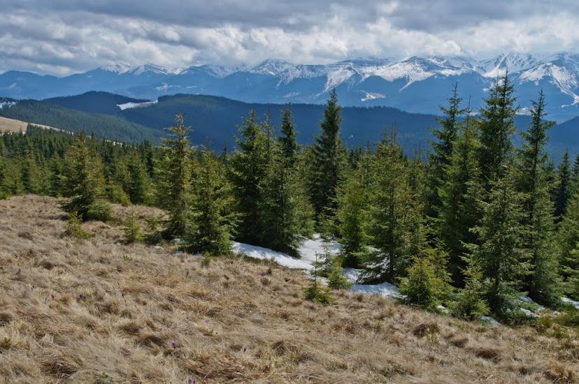 Кривопілля з panoramio.com - Кривопілля