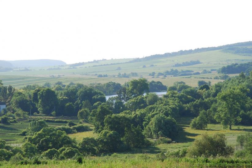 Перемишляни з panoramio.com - Перемышляны