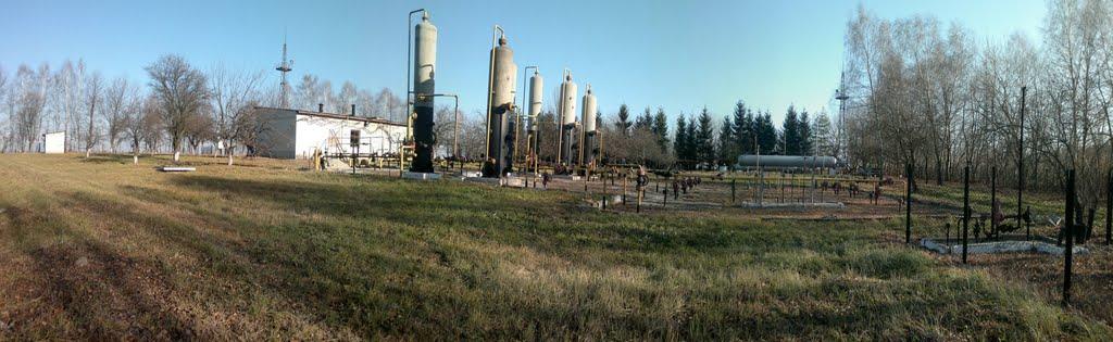 Ковиничі з panoramio.com - Ковиничи