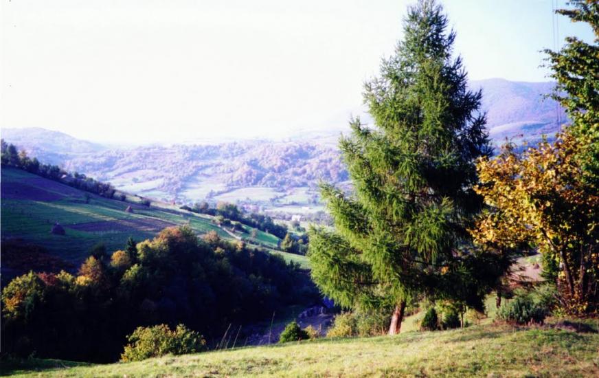 Ставне з panoramio.com - Ставное