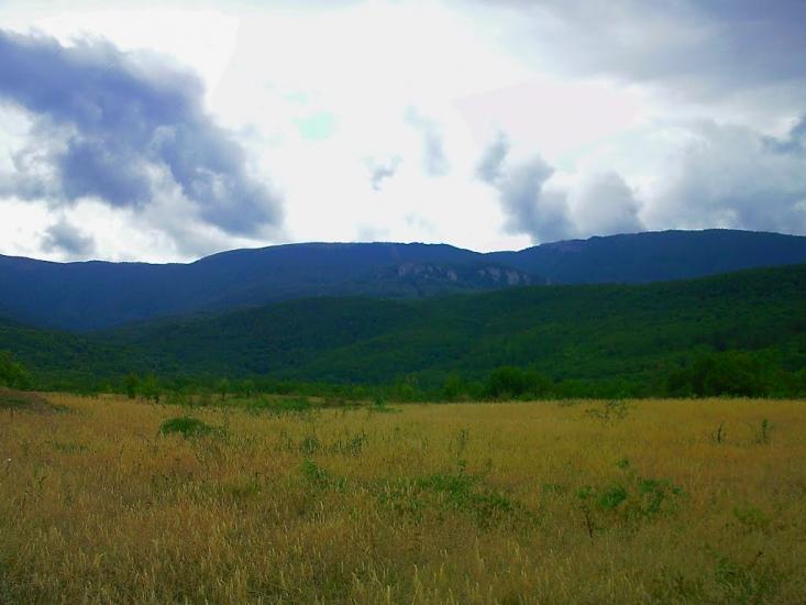 Щасливе з panoramio.com - Schaslyve