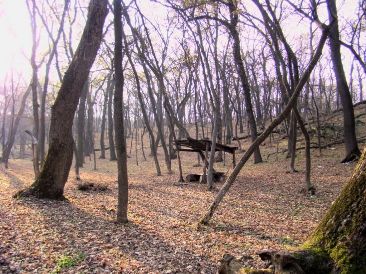 Ясенівський з panoramio.com - Ясенівський