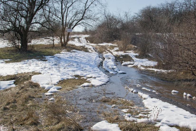 Куріпчине з panoramio.com - Kuripchyne