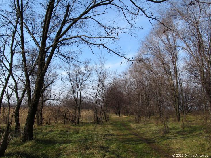 Тернуватка з panoramio.com - Терноватка