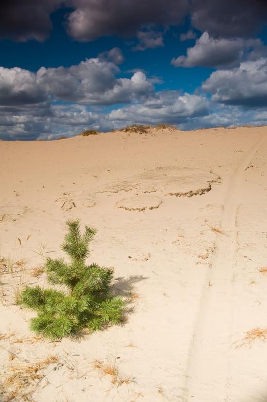 Кицівка з panoramio.com - Кицевка