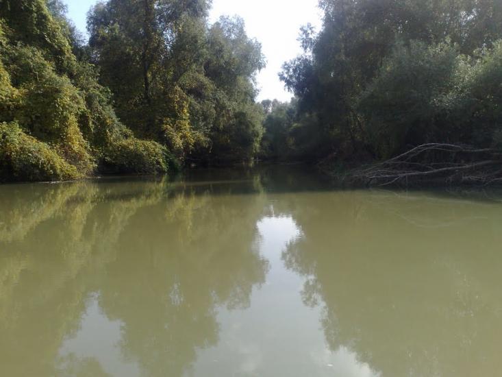 Дунайське з panoramio.com (ч.2) - Дунайське