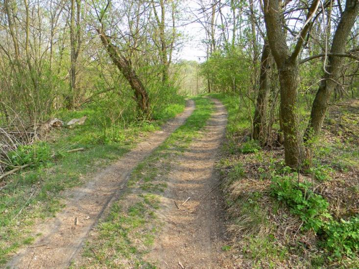 Івангород з panoramio.com - Івангород