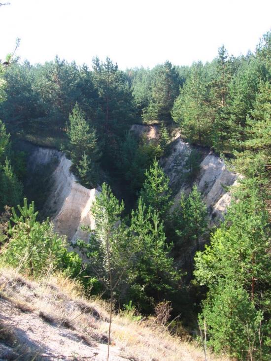 Пискунівка з panoramio.com - Pyskunivka